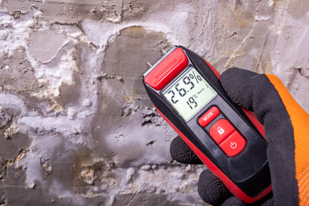 Best Crawl Space Mold Removal  in Rancho Palos Verdes, CA